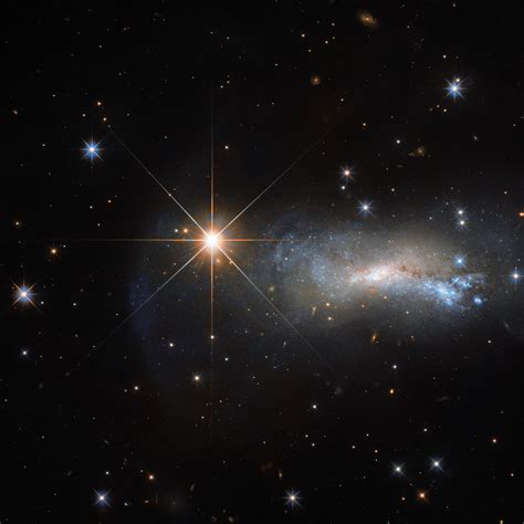 Hubbles Bright Shining Lizard Star Nasa