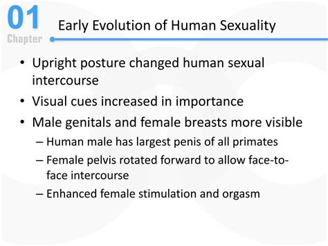 Ppt The Evolution Of Human Sexuality Past And Present Powerpoint Presentation Id 1132937