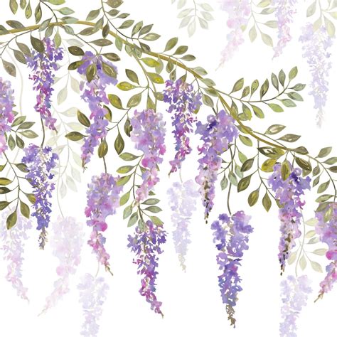 Wisteria Watercolor Flowers Paintings Wisteria Floral Art