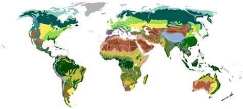 Biomas terrestres características tipos e exemplos Maestrovirtuale com