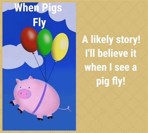 30 Pig Idioms And Phrases Explained Hubpages