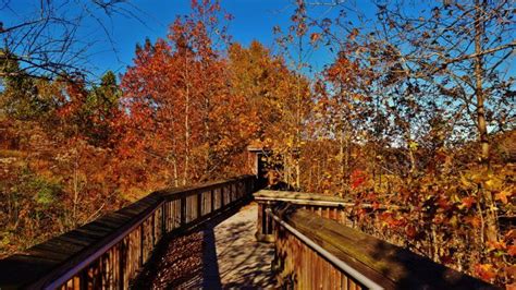 Here Are 15 Things Everyone In Maryland Absolutely Loves Maryland Day Trips Fall Foliage Road