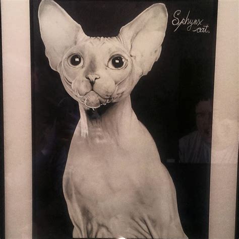 Sphynx Cat Trafo no vi støtter unge kunstnere