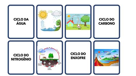 Questoes Sobre Ciclos Biogeoquimicos
