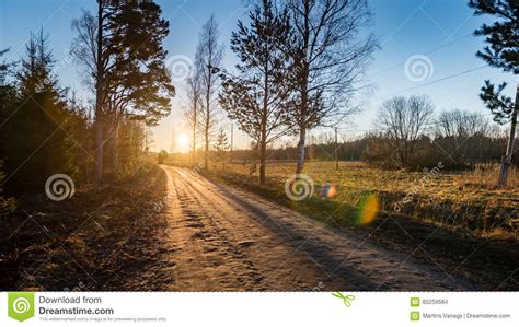 Winter Landscape Of Sunset Over The Country Road With