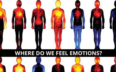 Wondering Where You Feel Emotions In Your Body These Images Will Show