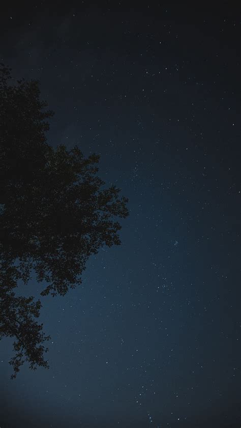 Download Wallpaper 800x1420 Night Tree Starry Sky Stars Iphone Se5s