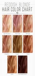  Hair Color Chart The Shades Kissed By The Sun Hair