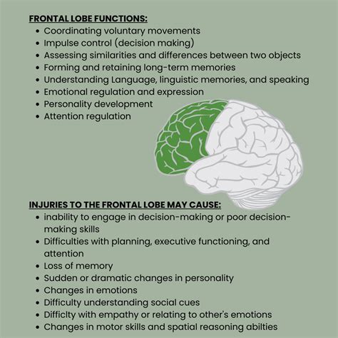 Frontal Lobe Functions Life After Stroke American Stroke Foundation