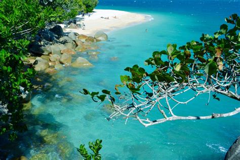 Best Beaches In Cairns And The Tropical North Fitzroy Island