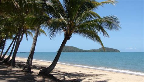 Palm Cove Beach Cairns Australia Ultimate Guide March 2024