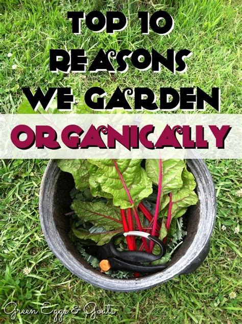 Reasons To Garden Organically Organic Gardening Tips Organic