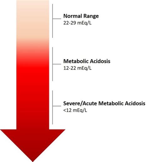 What Is The Difference Between Metabolic Acidosis And Metabolic