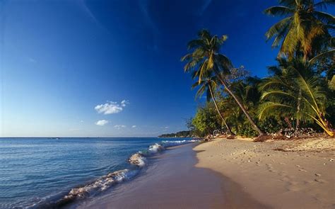 9 Best Caribbean Beaches - Pictolic