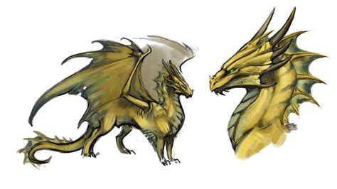 Arawai - Bronze Dragon | Bronze dragon, Dragon, Bronze