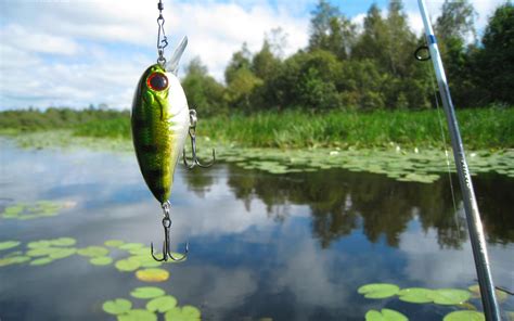 Bass Fishing Wallpaper Hd Pixelstalknet