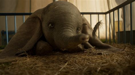 First Look At Disney S Live Dumbo Action Movie Chip And Company
