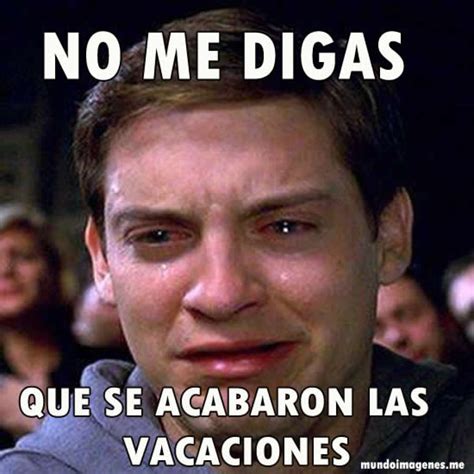 Memes sobre las clases online que no esperábamos pero que son reales. Los memes más divertidos de la vuelta al cole - Cadena Dial