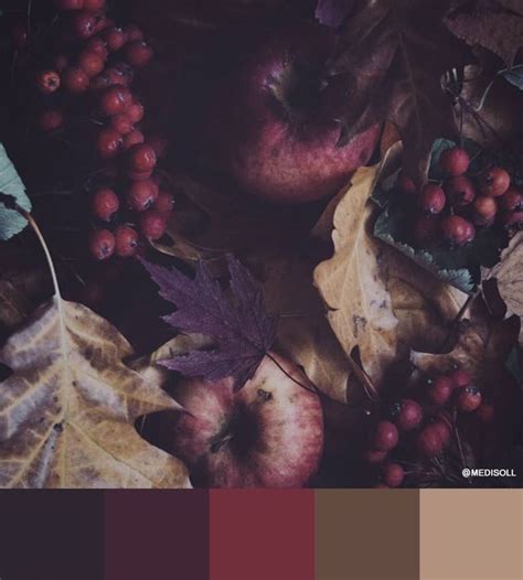 Autumn Color Palette Deep Autumn Color Palette For Procreate Instant