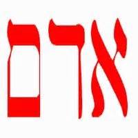 It has no meaning in greek. Adam in Hebrew | Amos37