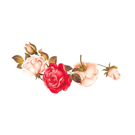 Rose Png Images Transparent Free Download Pngmart