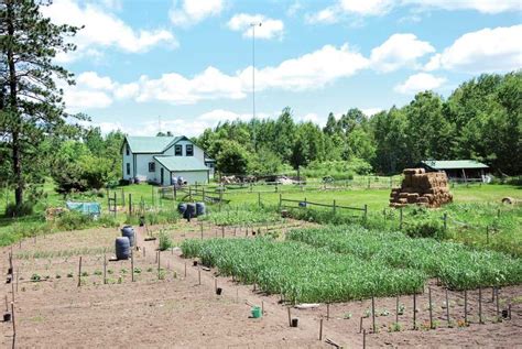 How To Build A Survivalist Homestead Off Grid Homestead Homestead Farm