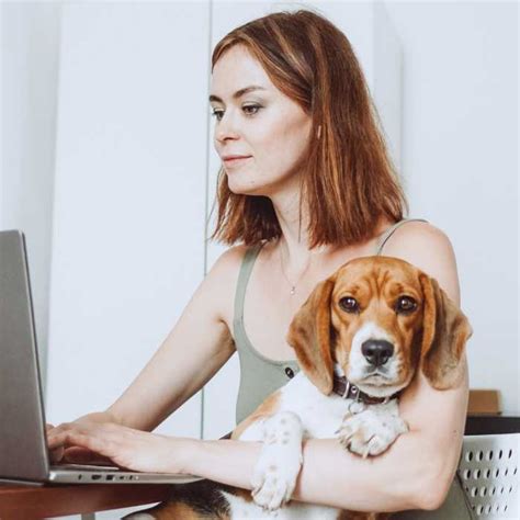 Ways To Keep Your Dog Busy While Working From Home Pridegroom