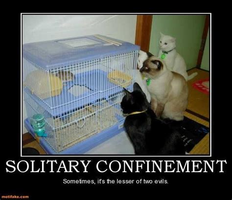 Solitary Confinement Funny Animals With Captions Funny Dog Captions