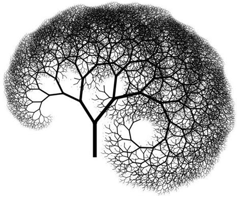 Fractal Brain Theory And How To Start A Revolutionary Movement Shift