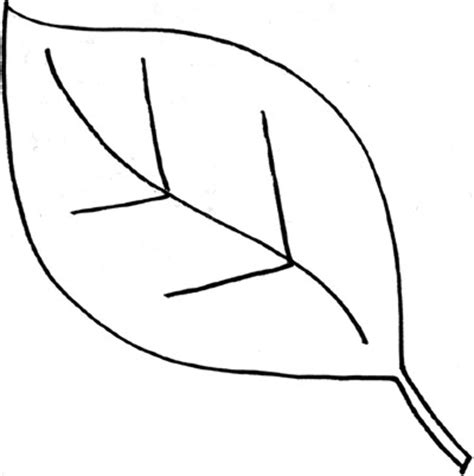 Download High Quality leaf clipart outline Transparent PNG Images - Art