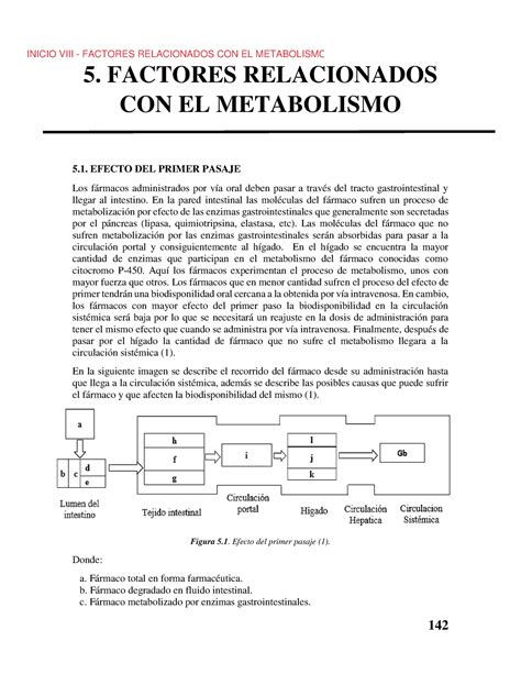 Factores Relacionados Con El Metabolismo Factores Relacionados Con El Metabolismo Efecto