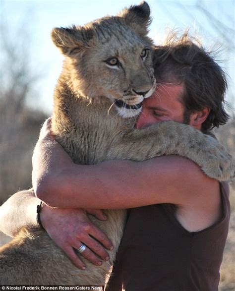 Fancy A Cuddle Lioness Develops Incredible Heart Warming Bond With Two