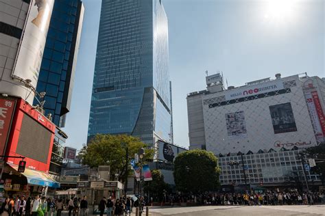 10 Incredible Views From Shibuya Scramble Square Opening Day Photo