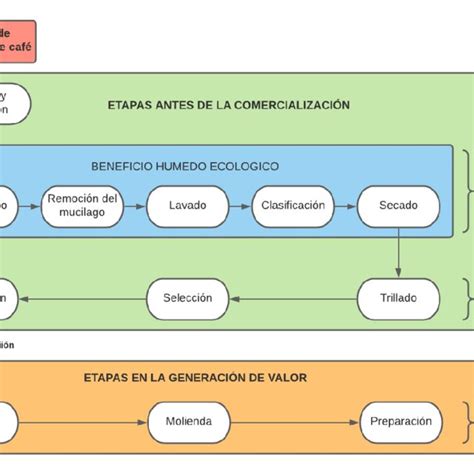 Diagrama De Las Etapas Del Proceso De Producción Del Café Basado En