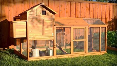 Backyard Small Poultry Farm Chicken Cage Design Homedecorations