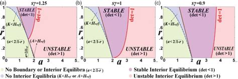 The Parameter Space Classification According To The Existence And