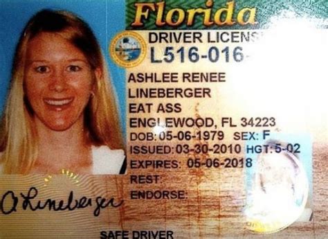 Free Download Funny Fake Drivers License Template Programs Helperetc