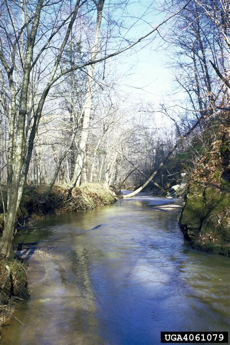 rivers-and-streams,-freshwater-biomes-miscellaneous-rivers-and-streams-4061079
