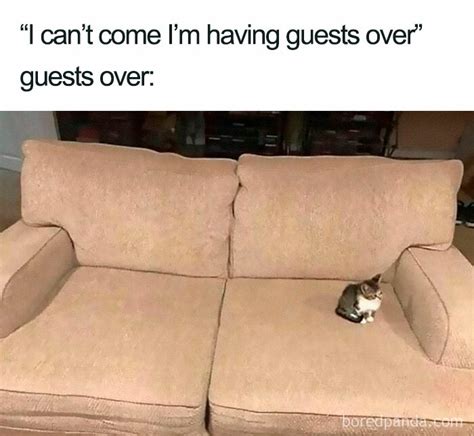 50 Of The Funniest Introvert Memes New Pics Bored Panda