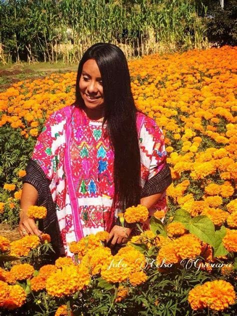 Mujer Mixteca En Campo De Flores De Zempoatlxochitl Mexico Culture