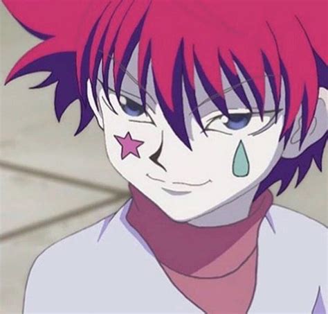 So I Have Found This Awesome Killua And Hisoka Merged Profile Picture