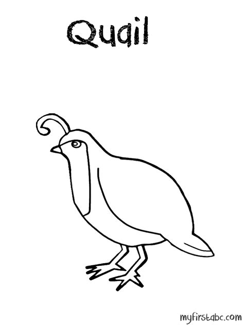 Visit coloring pages, animals for additional resources. Quail Coloring Pages - Coloring Home
