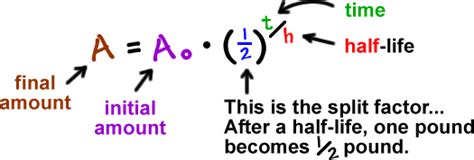 How To Calculate Half Life And Decay Constant Haiper