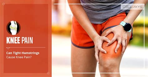 Knee Pain Can Tight Hamstrings Cause Knee Pain Cellaxys