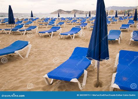 Sunbeds In The Beach Stock Image Image Of Sand Sunbathing 30220973