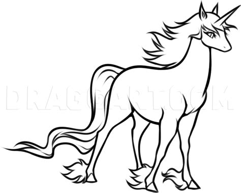 How To Draw An Anime Unicorn Step By Step Drawing Guide By Dawn