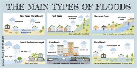 The Main Types Of Floods Flooding Infographic Flood Natural Disaster