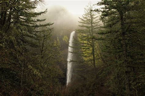 Waterfall In Mountain Forest
