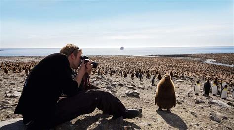 10 great films set in the arctic and antarctica polarquest
