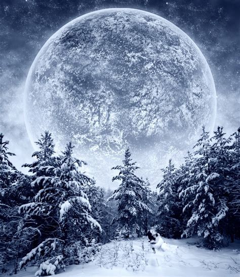 Winter Scene Winter Moon Beautiful Moon Moon Art